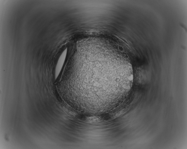 X0000097670511200803281015