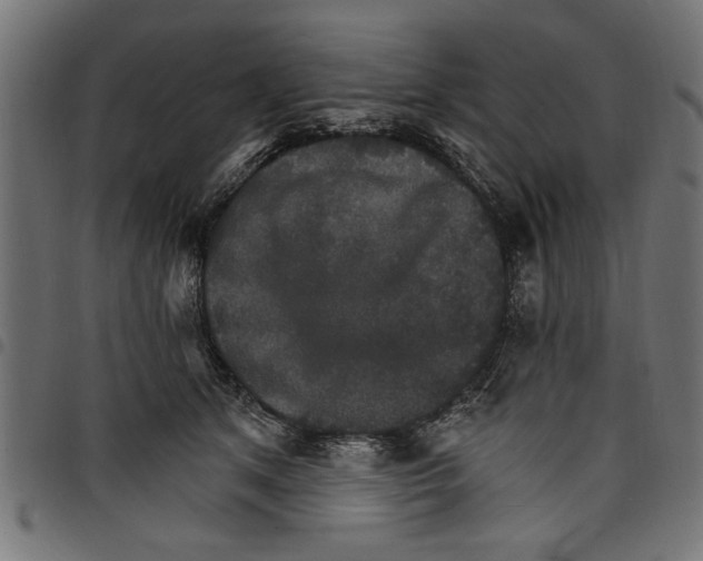 X0000097670513200803281015