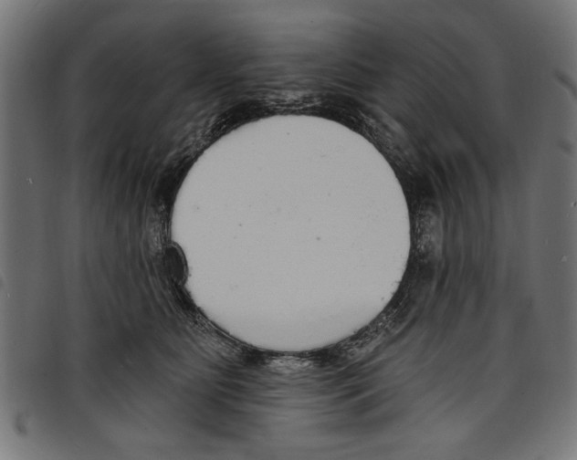 X0000097670515200803281015