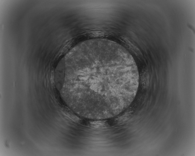 X0000097670516200803281015