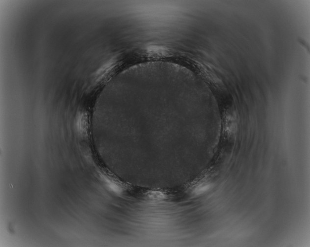 X0000097670519200803281015