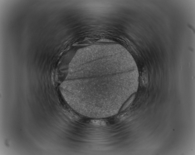 X0000097670520200803281015