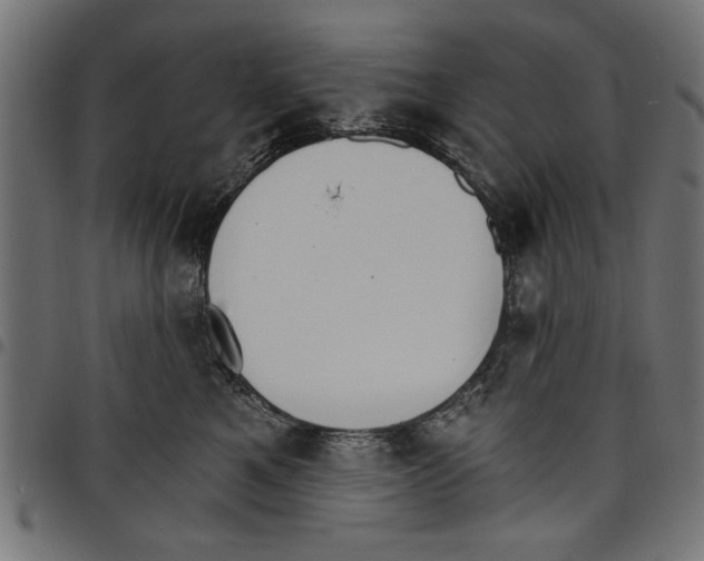 X0000097670521200803281015