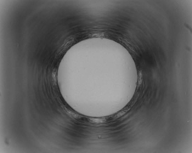 X0000097670522200803281015