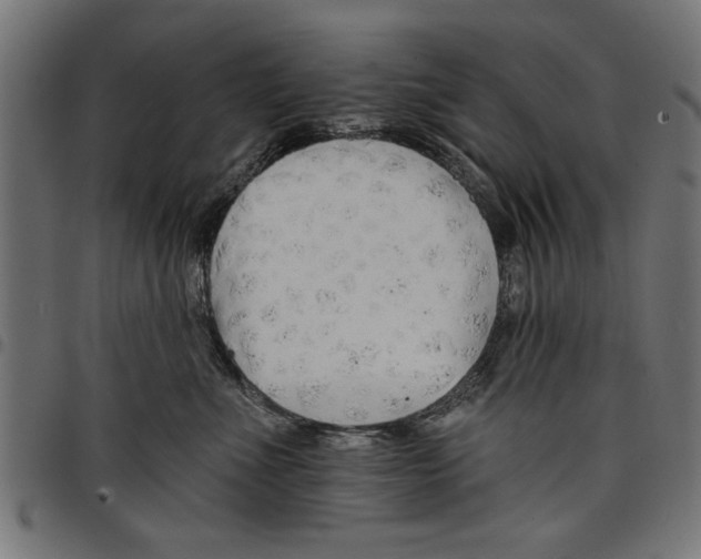 X0000097670523200803281015