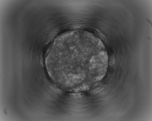 X0000097670524200803281015