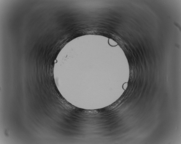 X0000097670525200803281015