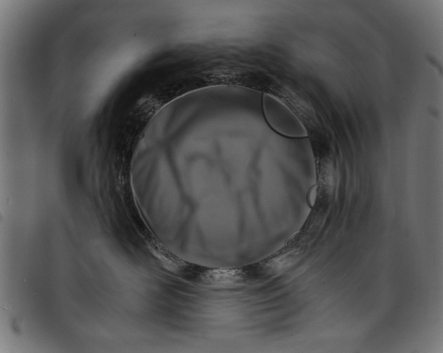 X0000097670526200803281015