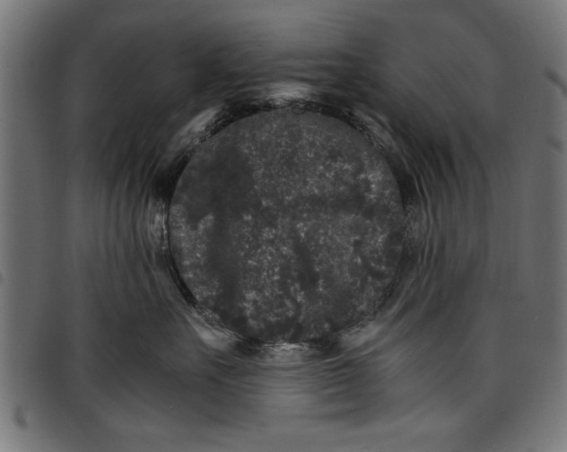 X0000097670527200803281015