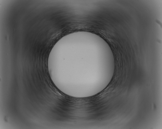 X0000097670528200803281015