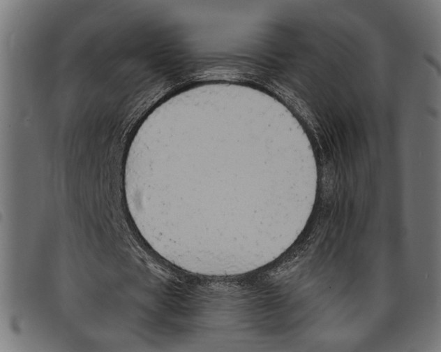 X0000097670529200803281014