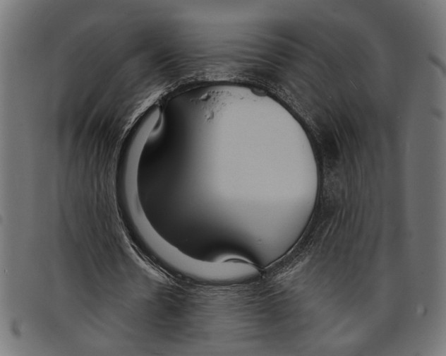 X0000097670530200803281014