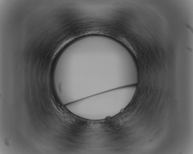 X0000097670531200803281014