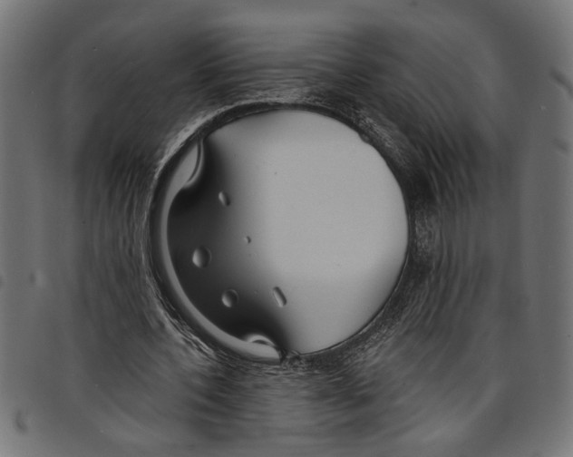X0000097670532200803281014