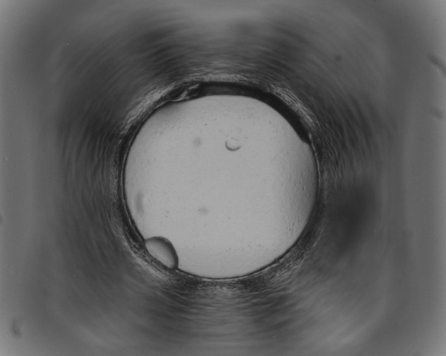 X0000097670533200803281014