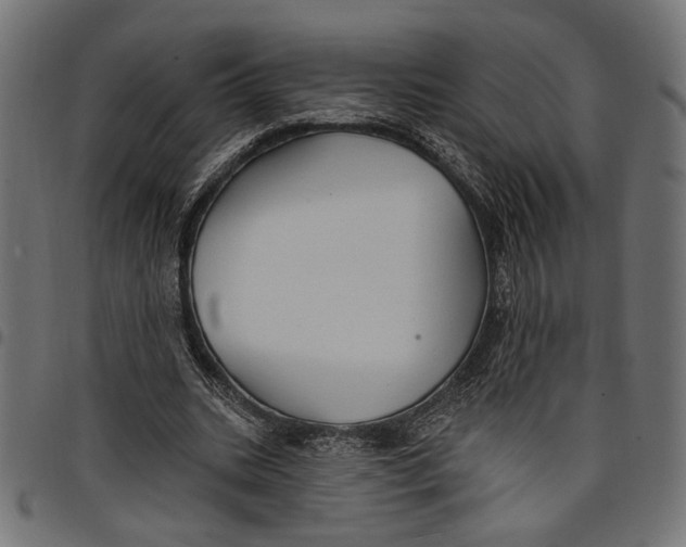 X0000097670535200803281014