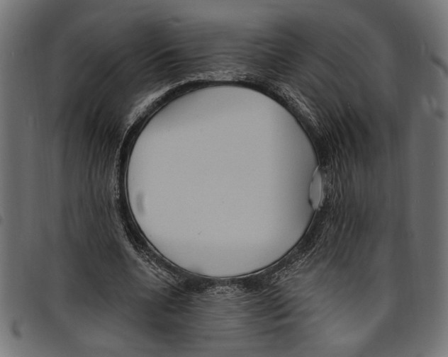 X0000097670536200803281014