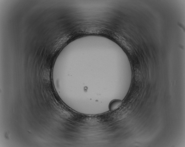 X0000097670537200803281014