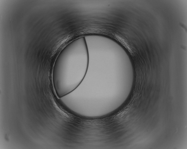 X0000097670538200803281014