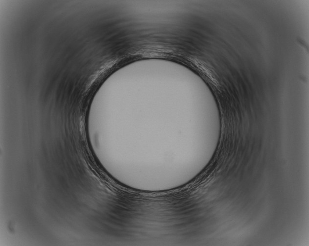 X0000097670539200803281014