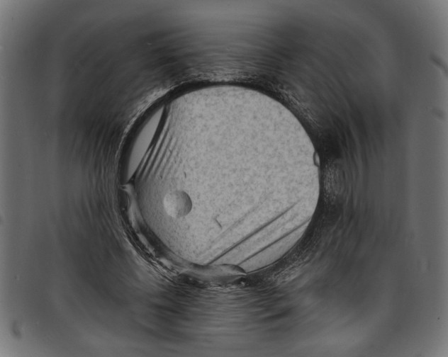 X0000097670540200803281014