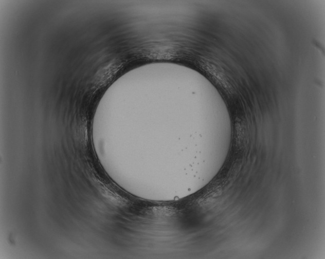 X0000097670541200803281015