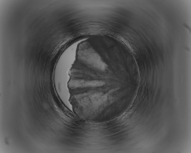 X0000097670542200803281015