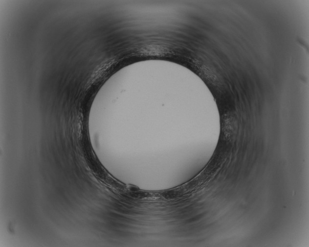 X0000097670544200803281015