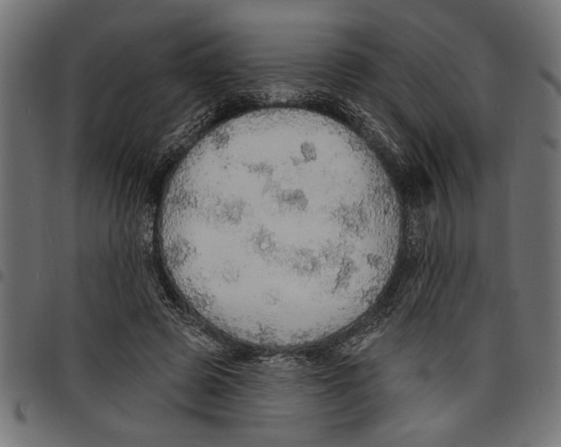X0000097670545200803281015