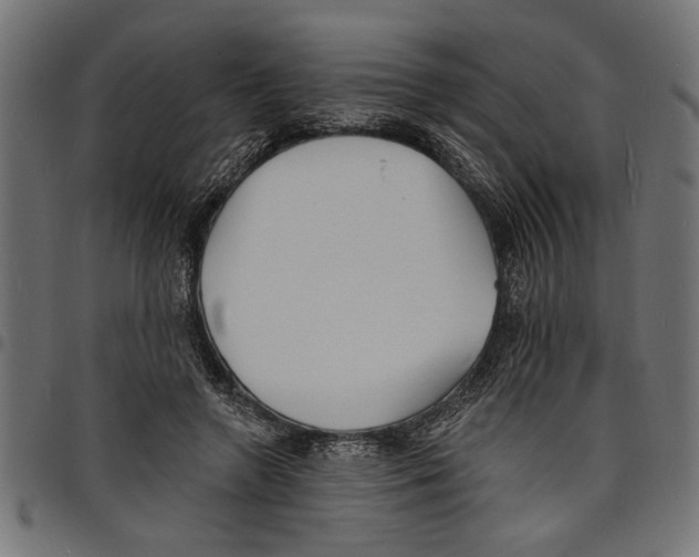 X0000097670546200803281015
