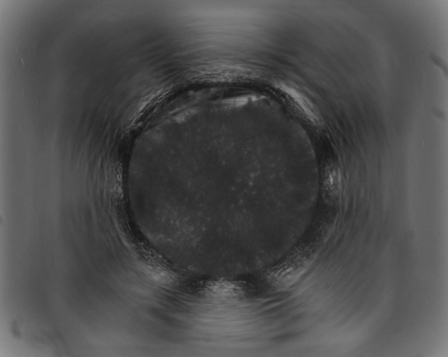 X0000097670547200803281015