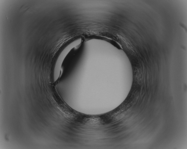X0000097670548200803281015