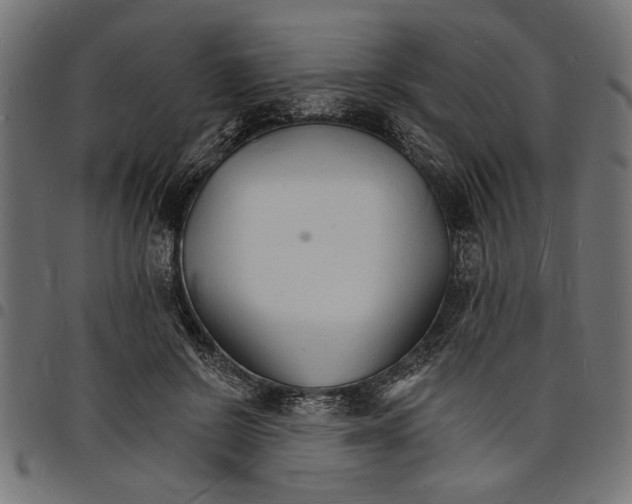 X0000097670550200803281015