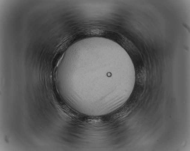 X0000097670552200803281015
