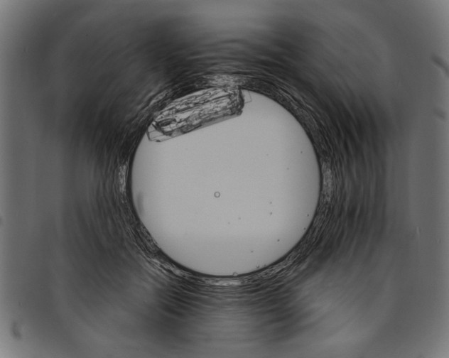 X0000097670554200803281015