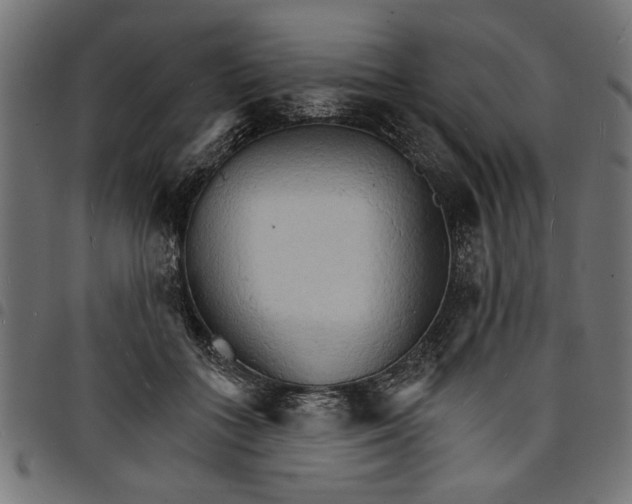 X0000097670555200803281015