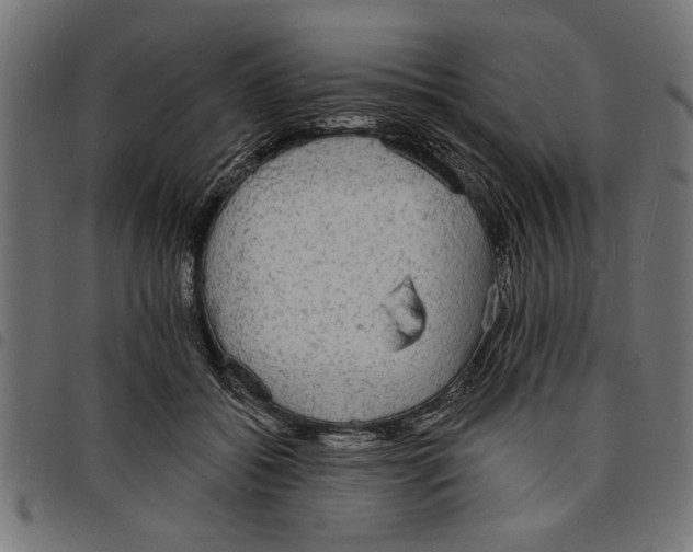 X0000097670556200803281015
