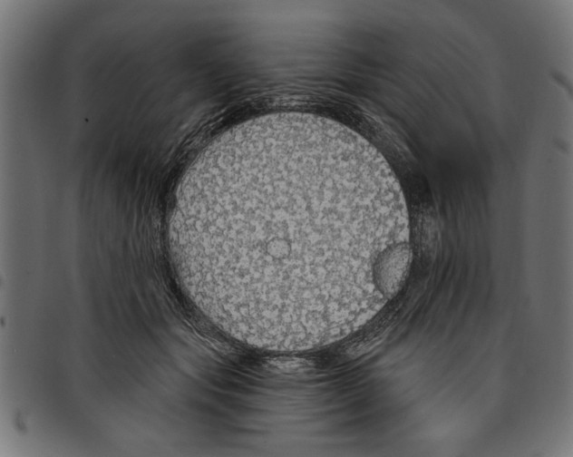 X0000097670557200803281015