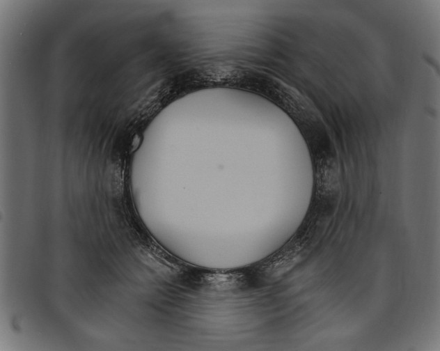 X0000097670558200803281015