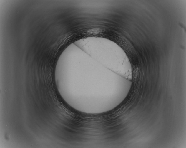 X0000097670559200803281015
