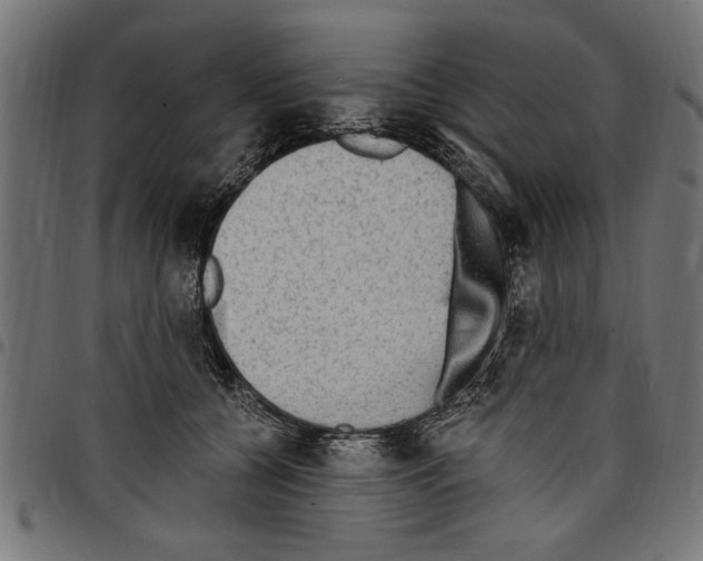 X0000097670560200803281015