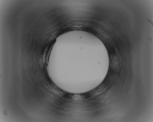 X0000097670562200803281015