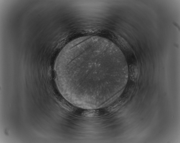 X0000097670563200803281015