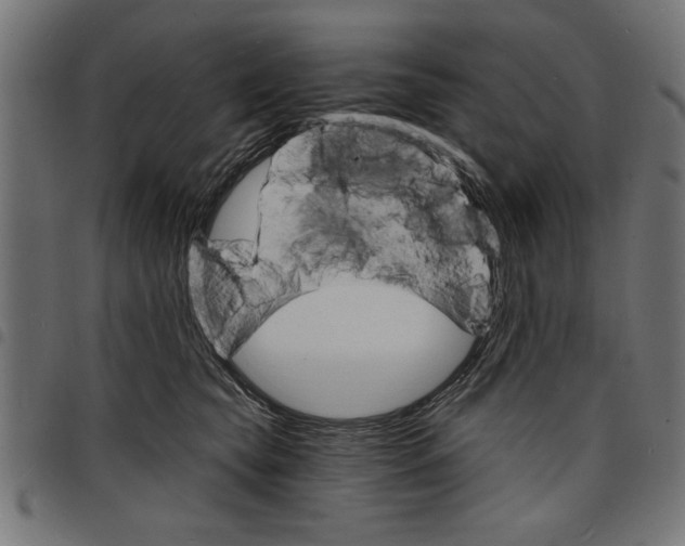 X0000097670565200803281015