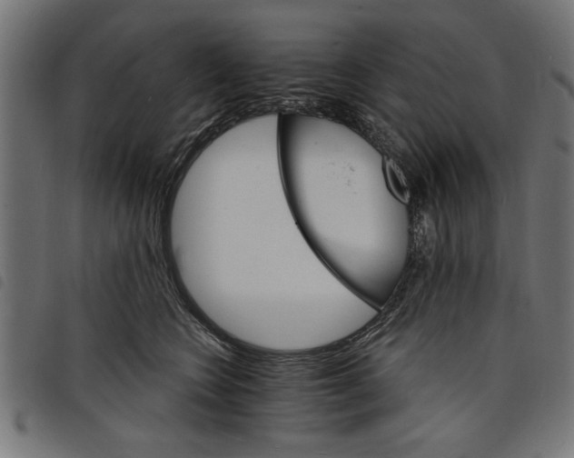 X0000097670566200803281015