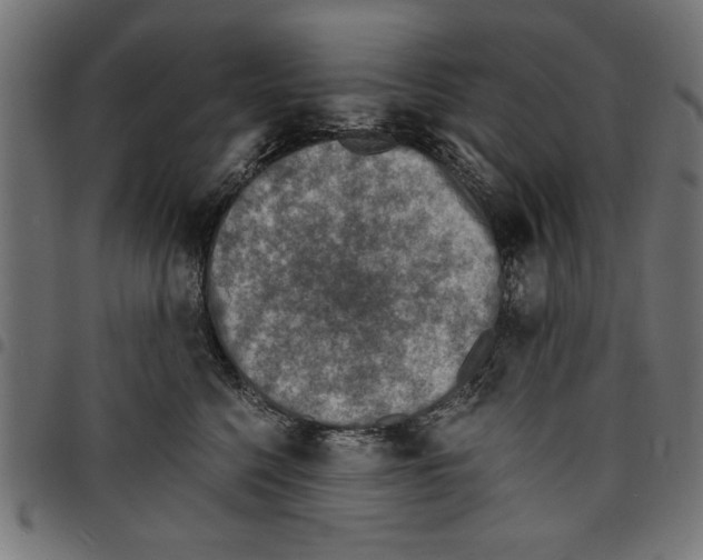 X0000097670568200803281015