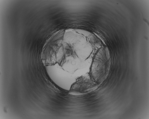 X0000097670569200803281015