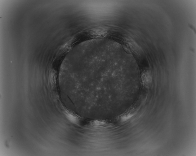 X0000097670570200803281015