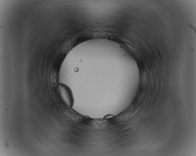 X0000097670571200803281015
