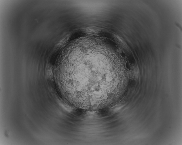 X0000097670573200803281015
